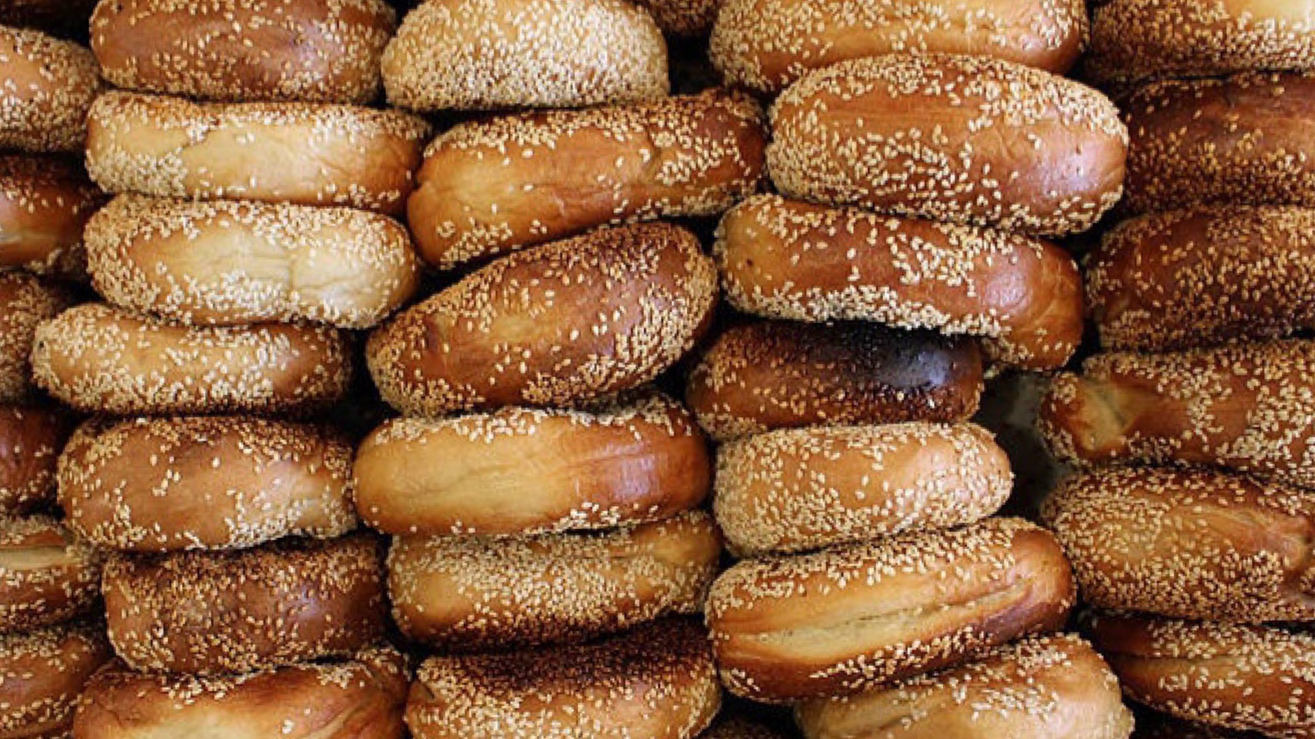 Fresh baked New York Style Bagels at Music City Bagels